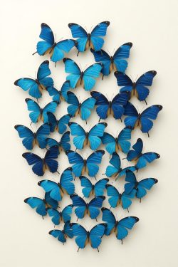 svg+xml,%3Csvg%20xmlns%3D%22http%3A%2F%2Fwww.w3 Gallery